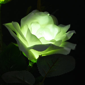 Solar White Rose 3 Head LED Outdoor Light